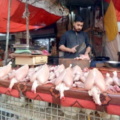 11672862746-0-436x333